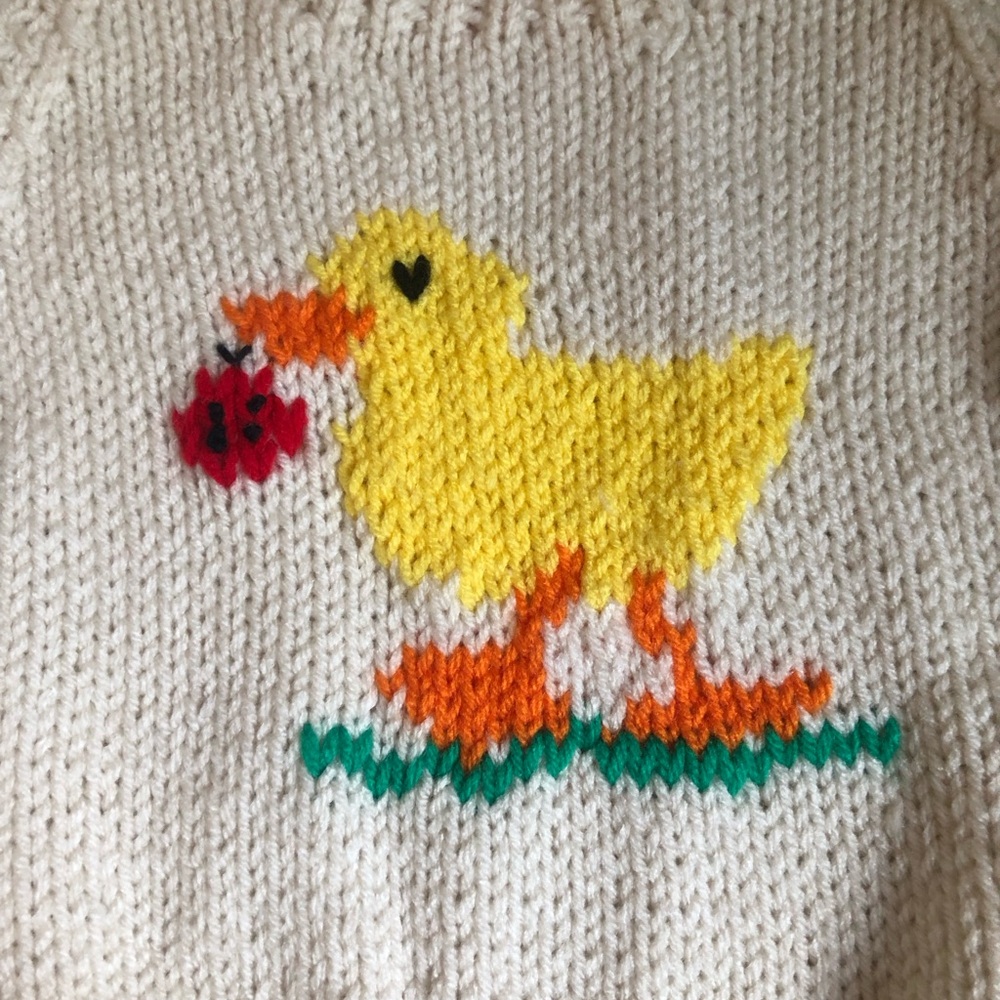 Hand knit ducking with ladybug sweater